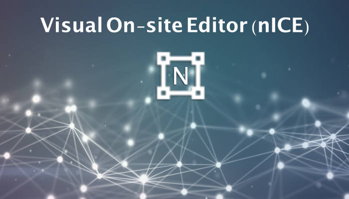 How to use the nICE editor